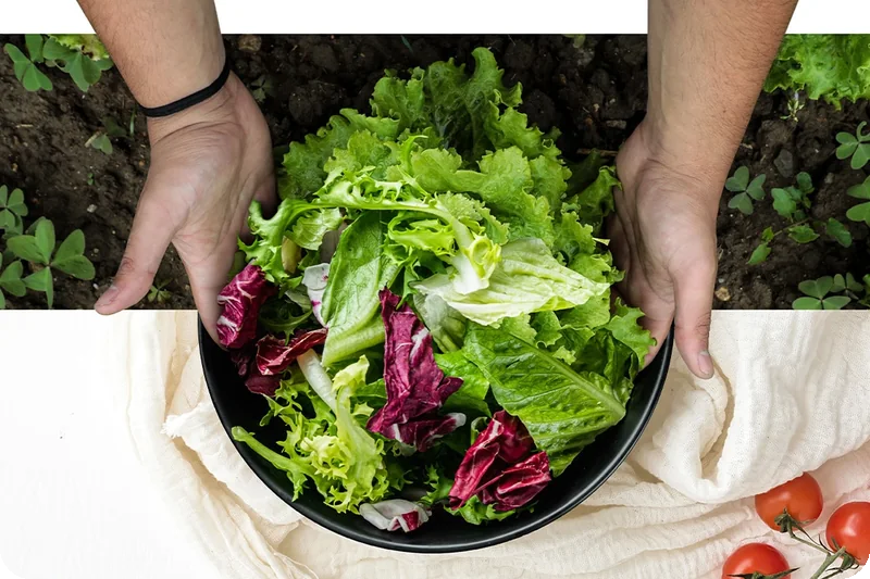 Fresh vegetables and salad illustrating advanced refrigerator cooling